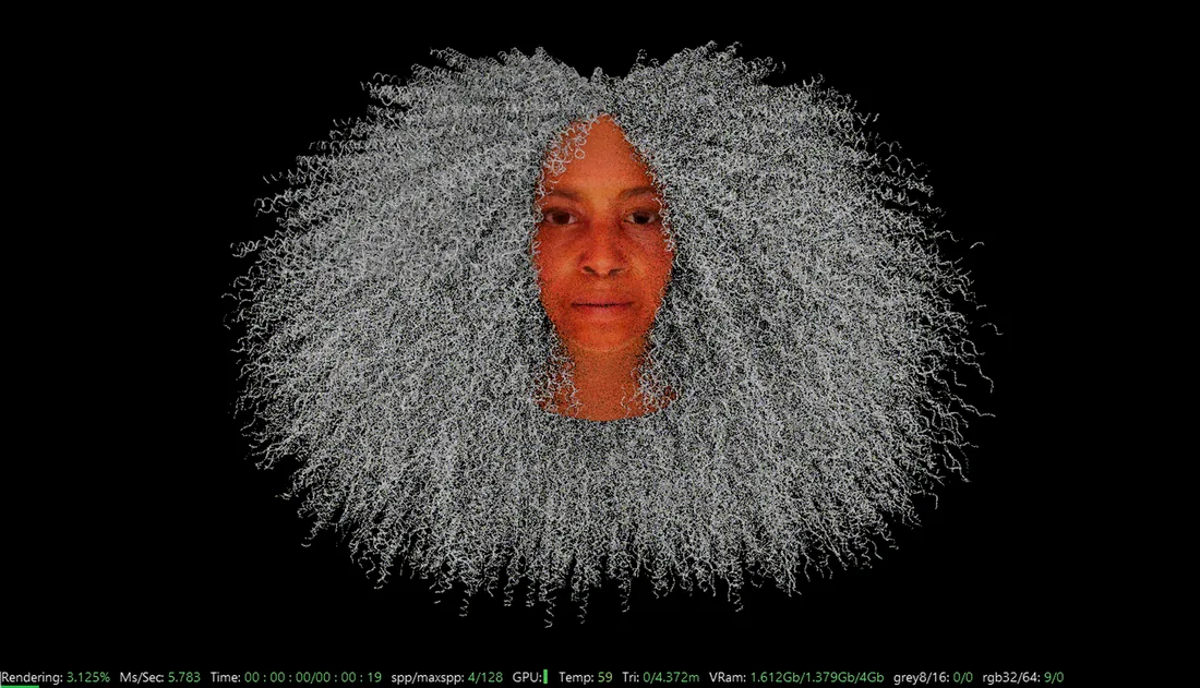 A 3D portrait of Not the Only One, a face surrounded by a wide cloud of curly hair, in a modeling viewport, image 1 of 4